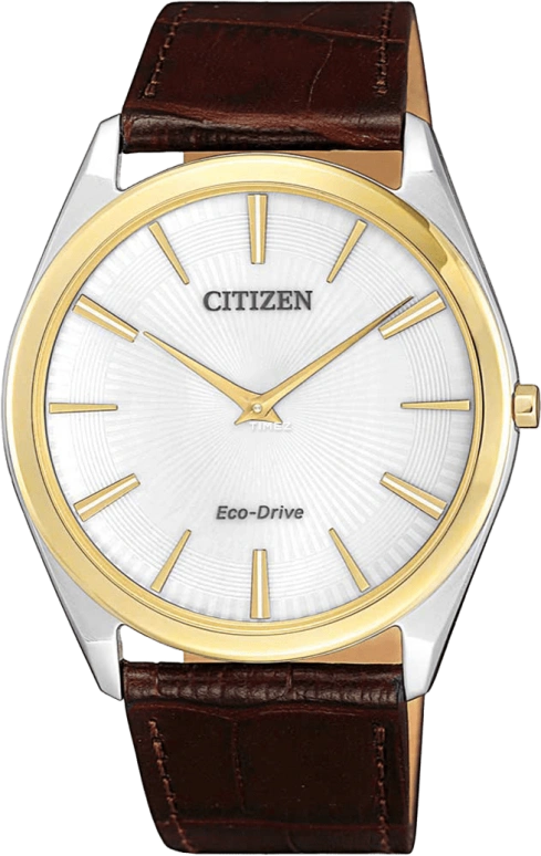 Citizen Other AR3074-03A