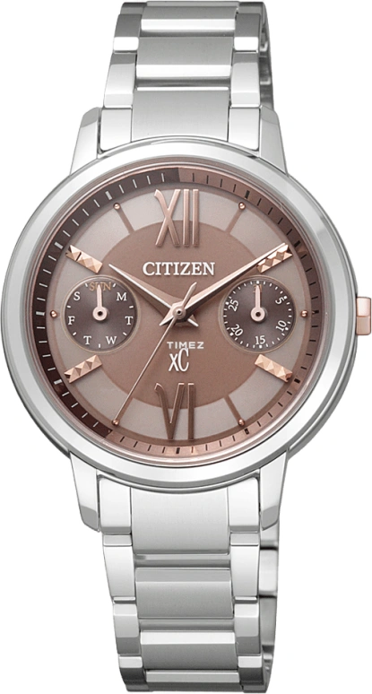 Citizen Eco-Drive FD1010-53W