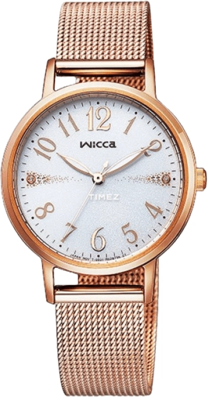 Citizen,Quartz 30.20mm,30.20mm,Stainless Steel,Silver,Quartz,KP5,KP5-166-13