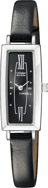 Citizen,Quartz 28x14mm,28x14mm,Stainless Steel,Black,Quartz,In-house Caliber,Hardlex,Crystal Glass,EG2530,EG2530-05E