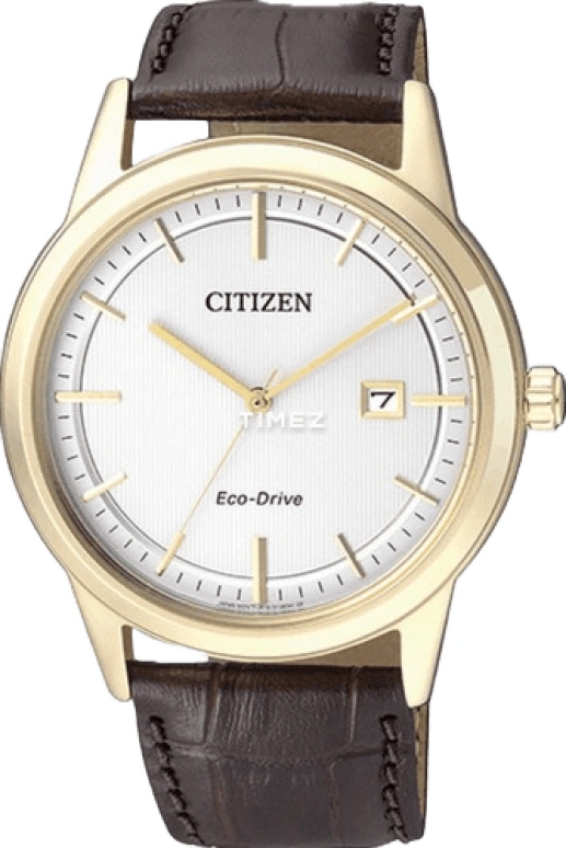 Citizen Other AW1233-01A