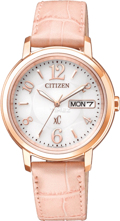Citizen Eco-Drive EW2422-04A