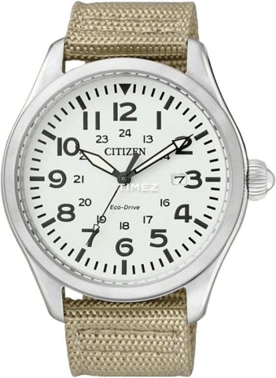 Citizen Eco-Drive BM6831-24B