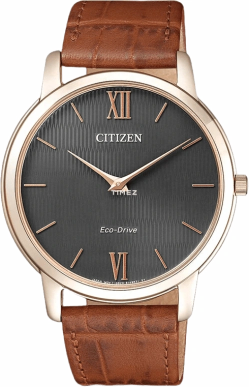 Citizen,Eco-Drive 39mm,39mm,Stainless Steel,Quartz,In-house Caliber,Closed,AR1133,AR1133-15H