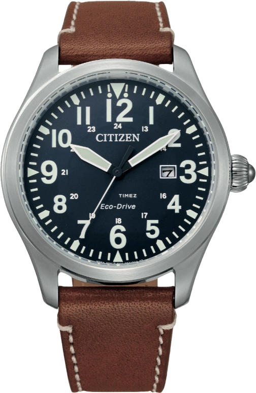 Citizen Eco-Drive BM6838-33L