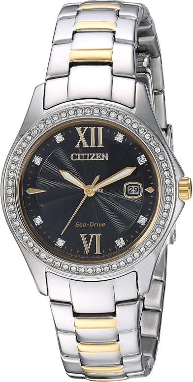 Citizen,Quartz 30mm,30mm,Stainless Steel,Black,Quartz,FE1144,FE1144-85E