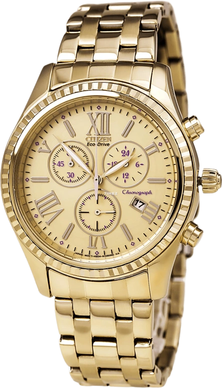 Citizen Eco-Drive FB1363-56Q