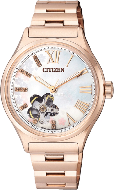 Citizen Other PC1003-74D