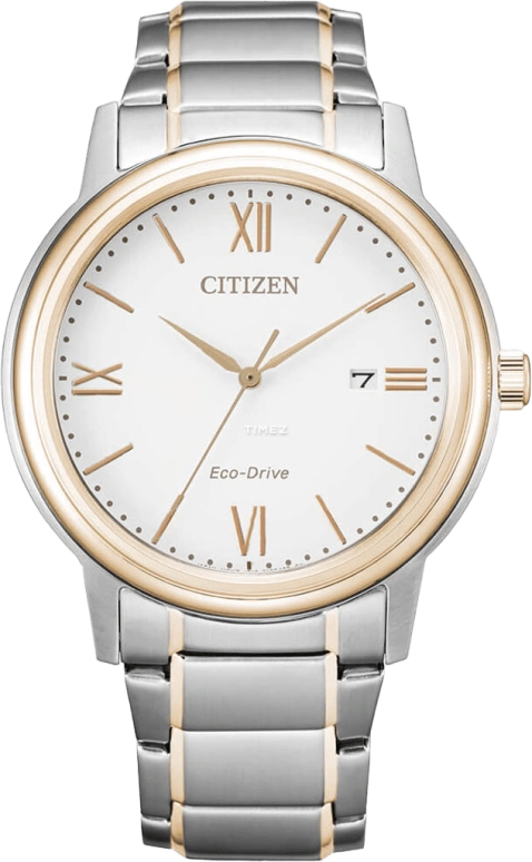 Citizen Other AW1676-86A