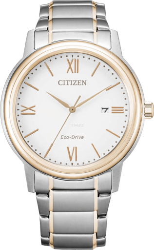 Citizen Other AW1676-86A