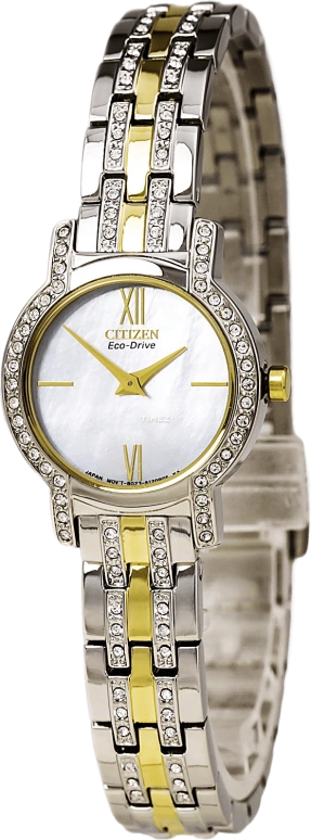 Citizen,Eco-Drive 22mm,22mm,Stainless Steel,Quartz,EX1244,EX1244-51D