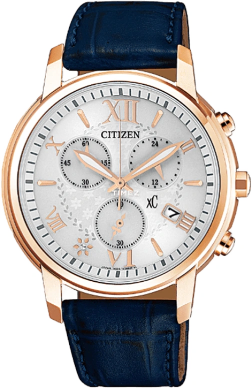 Citizen Eco-Drive FB1432-21A