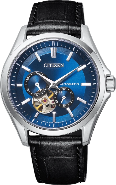 Citizen Other NP1010-01L