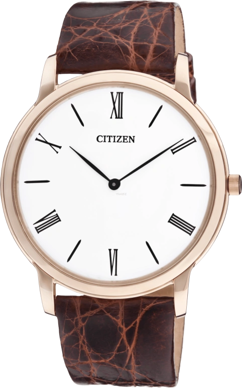 Citizen Eco-Drive AR1117-38A