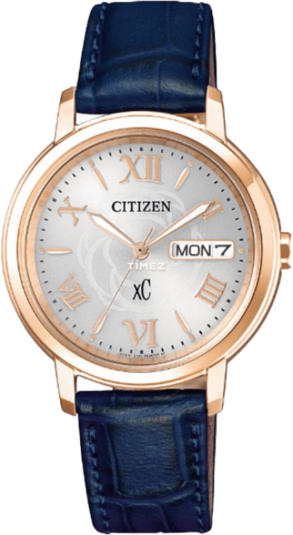 Citizen Eco-Drive EW2422-21A