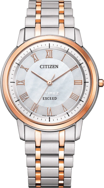 Citizen Quartz AR4004-71D