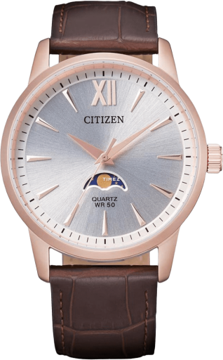 Citizen Quartz AK5003-05A