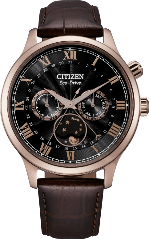 Citizen,Eco-Drive 42mm,42mm,Stainless Steel,Black,Quartz,In-house Caliber,Sapphire,AP1059,AP1059-19E