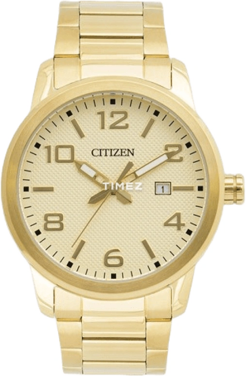 Citizen Quartz BI1022-51P