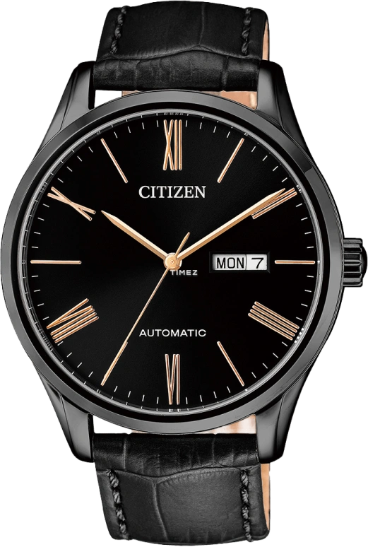 Citizen Other NH8365-19FB