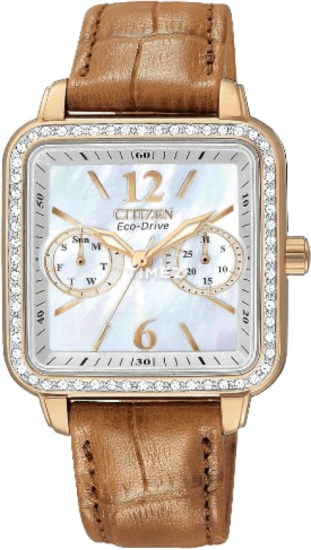 Citizen Other FD1053-00D