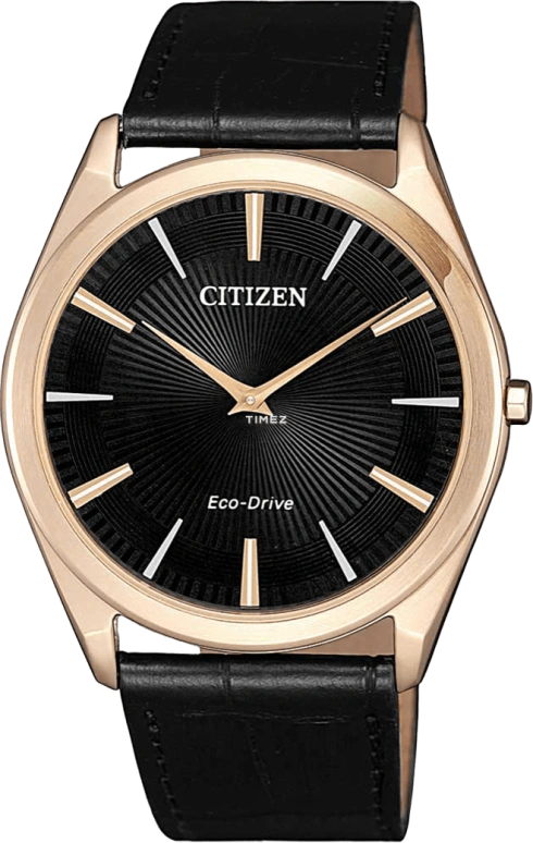 Citizen Other AR3073-06E