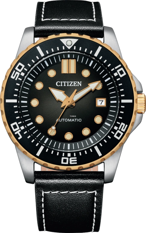 Citizen Other NJ0176-10E