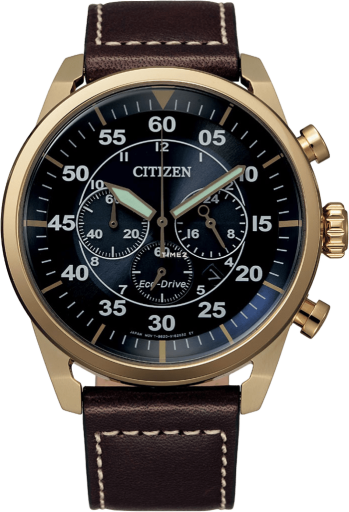 Citizen Other CA4213-26L