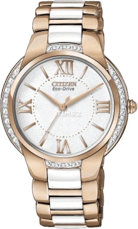Citizen Eco-Drive EM0173-51A