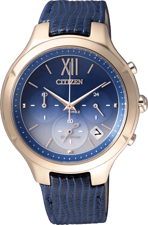 Citizen Eco-Drive FB4013-01L