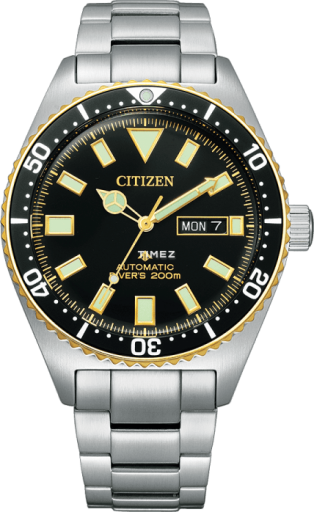 citizen citizen-promaster 