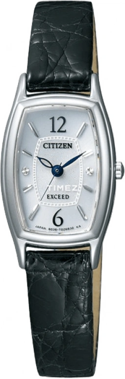 Citizen,Quartz 18.40mm,18.40mm,Stainless Steel,Grey,Quartz,EX2000,EX2000-09A