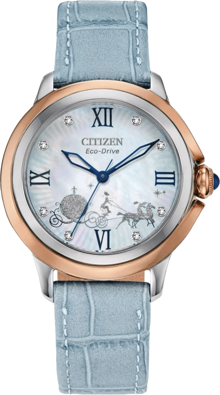 Citizen Other EM0798-02D