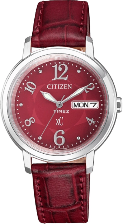 Citizen Eco-Drive EW2420-00W