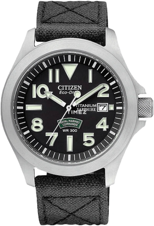 Citizen Other BN0110-06E