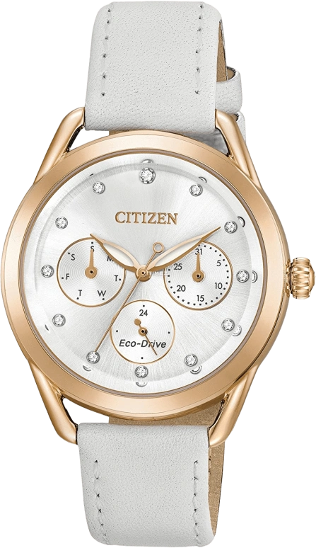Citizen Other FD2053-04A