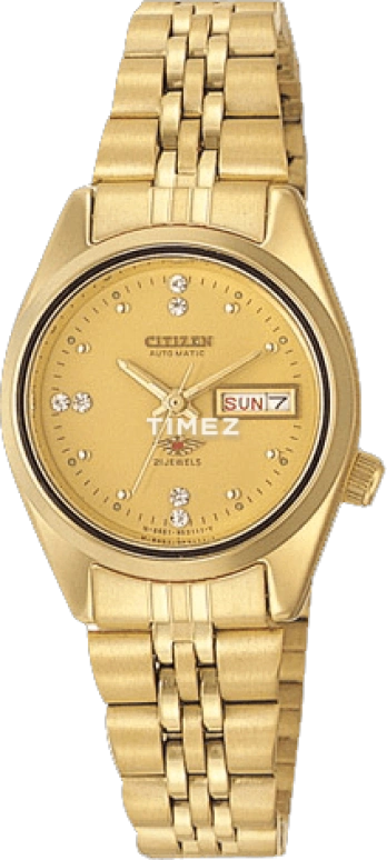 Citizen Other PD2902-58PB