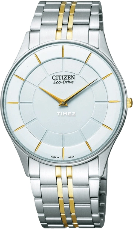 Citizen Other AR3014-56A