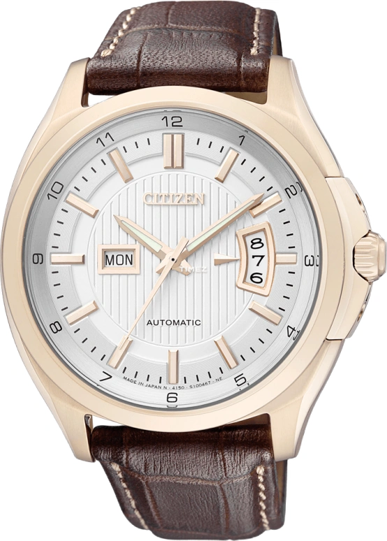 Citizen Other NP4033-09AB