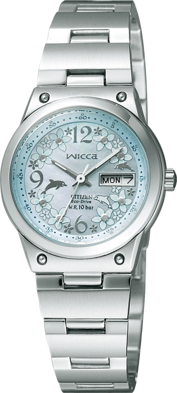 Citizen Eco-Drive EW3081-59DB