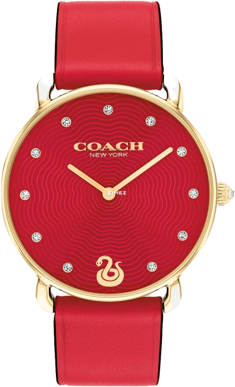 COACH Elliot 14504386