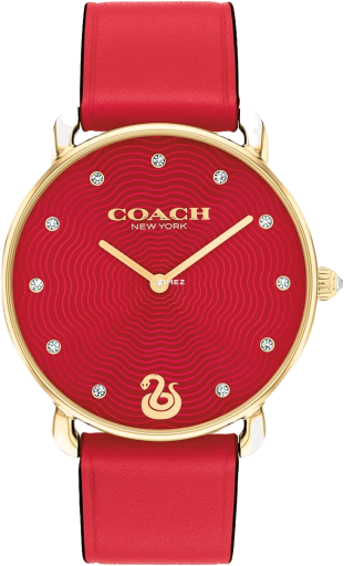 COACH Elliot 14504386