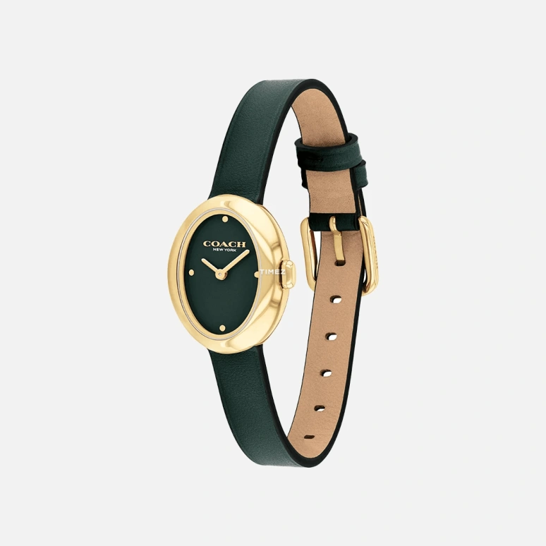 COACH,Sammy 22mm,22mm,Stainless Steel,Green,Quartz,Hardlex,Oval,14504425