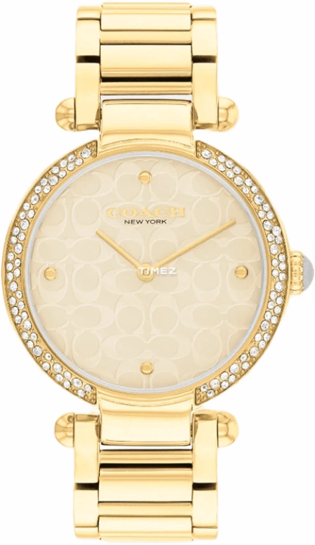 COACH Cary 14504183
