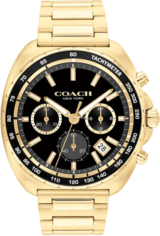 COACH Charter 14602703