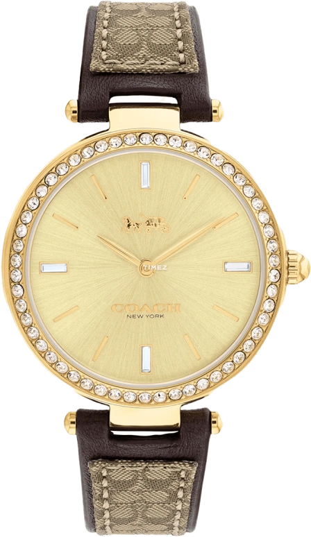 COACH Park 14504092