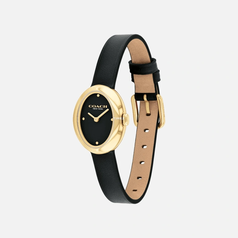 COACH,Sammy 22mm,22mm,Stainless Steel,Black,Quartz,Hardlex,Oval,14504421