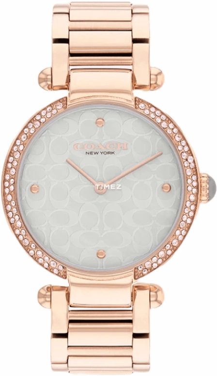 COACH Cary 14504184