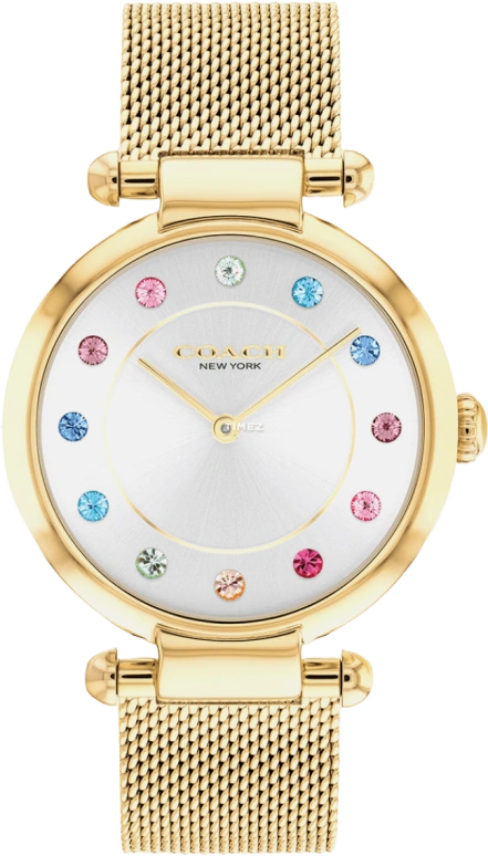 COACH Cary 14000112