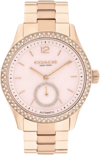 COACH Brooks 14504488